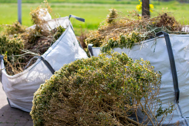 Best Shed Removal  in High Bridge, WA